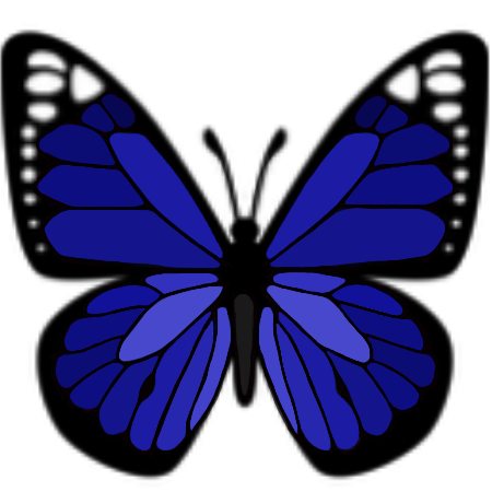 butterfly