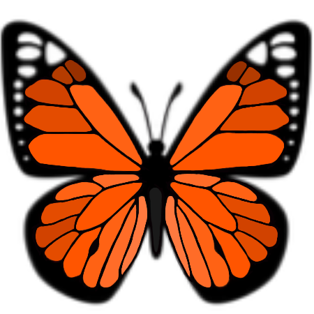 butterfly