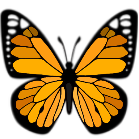 butterfly