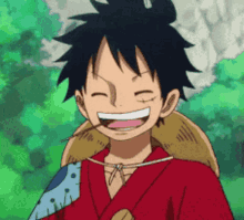 luffy
