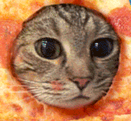catpizzaface