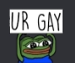 gay