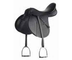 saddle