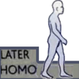 laterhomo