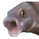 memepogfish