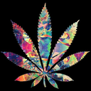 biidope