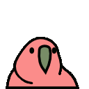 discobird