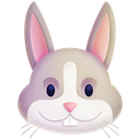 rabbitface