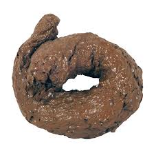 poop