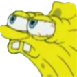 memespongebobsus