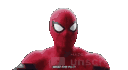 amemespidermansh