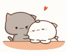 cutekitties