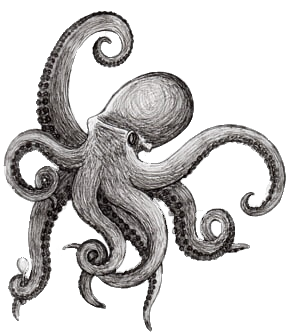 kraken