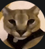 hecker