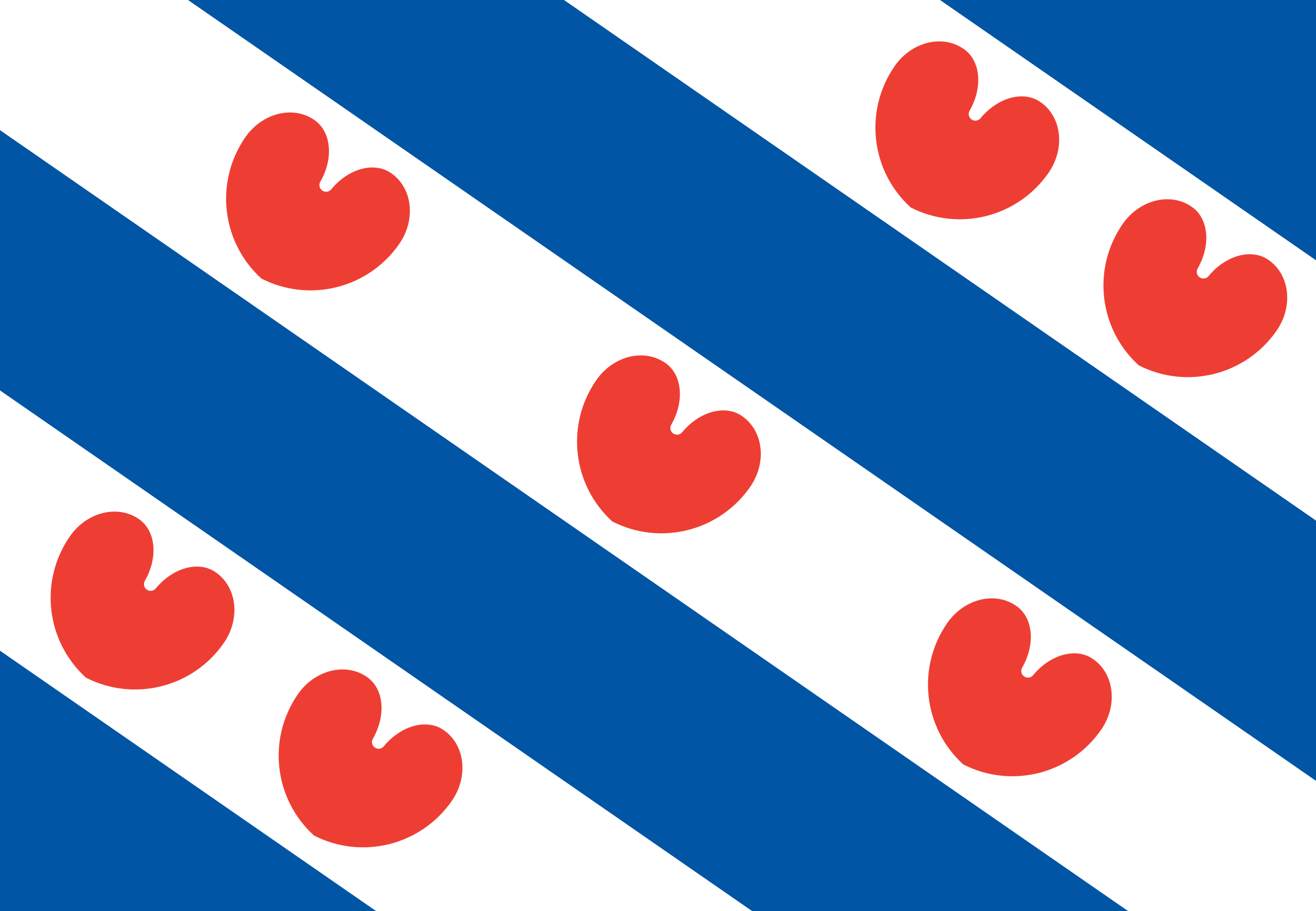 frisanflag