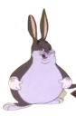 bigchungus99