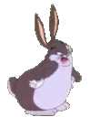 chungus28