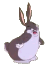 chungus24