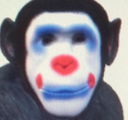 echomonkeyclown