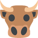 bull6