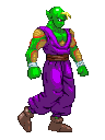 piccolo