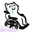 tswheelchairzoom