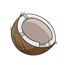 coconut