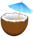 coconut41