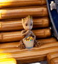 popcorngroot