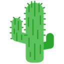 cactus1f335