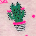 cactus94