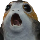 porg84
