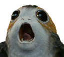porg36