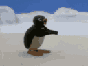 pinguapplaud