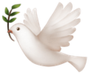 peacedove