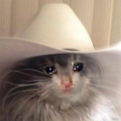 sadcowboy