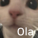 ola37