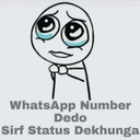 whatsappnodedo