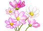 mflowerbunch