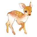 bambi