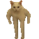 6800smallcatstan