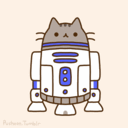 r2d2cat