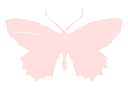 tesbutterflypink