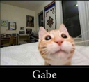 gabe4