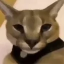 gabe62