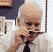 bidengifshades