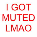 igotmutedlmao