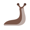 slug