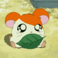 fdhamtaro