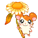hamtaro56